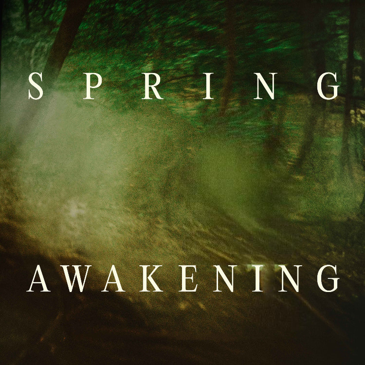 Spring Awakening